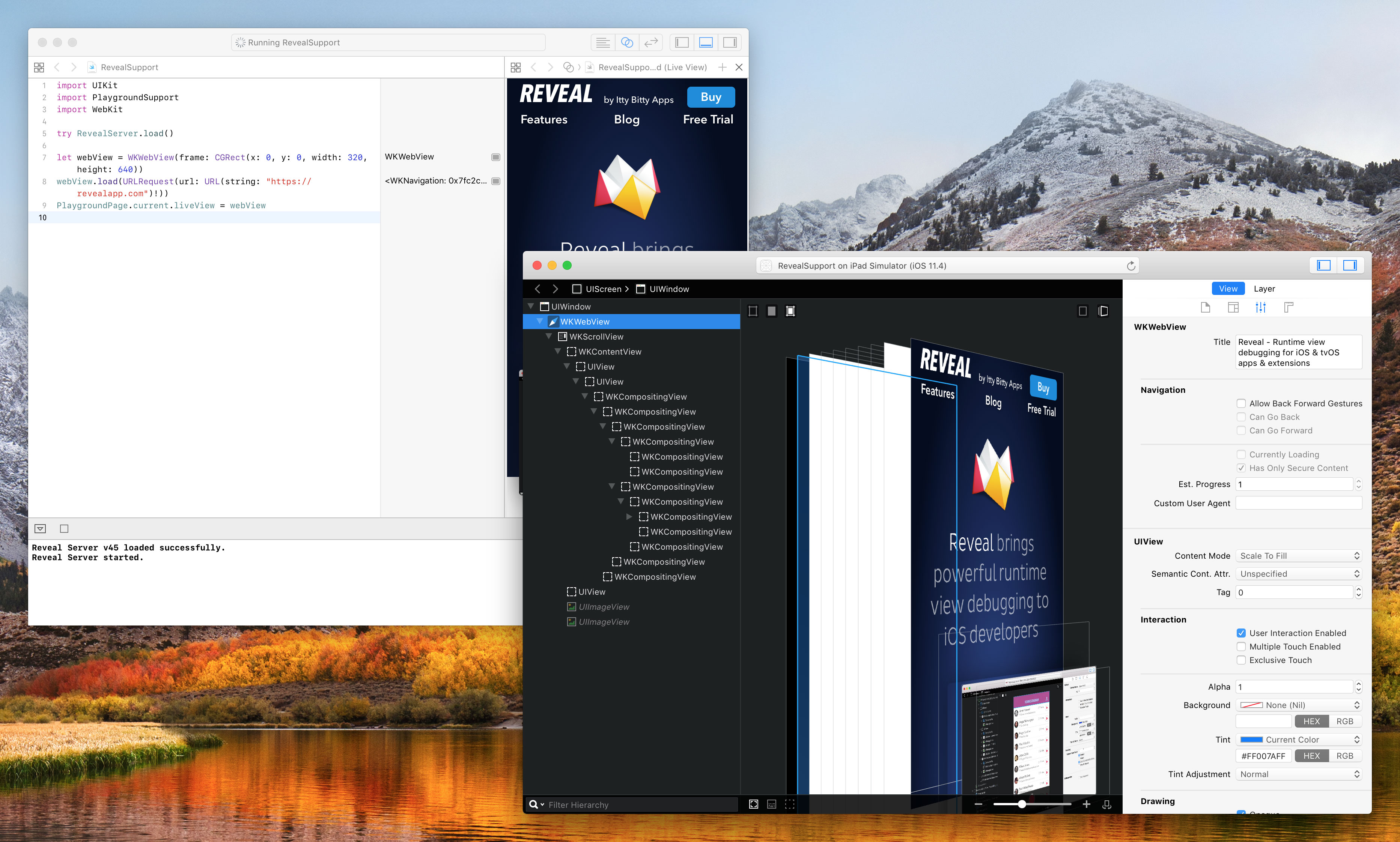 Reveal main window showing a live view from Xcode playground running alongside it